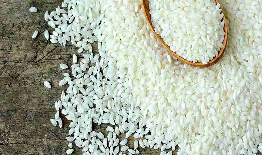https://shp.aradbranding.com/قیمت برنج لاشه طارم + خرید باور نکردنی